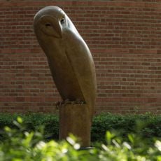 Monumental Barn Owl