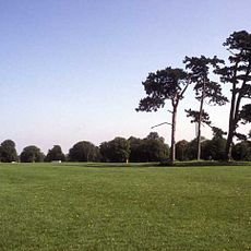 Durdham Down