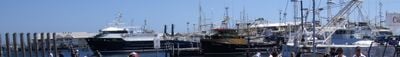 Panoramic View 1