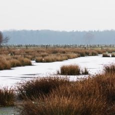 Büngernsche und Dingdener Heide