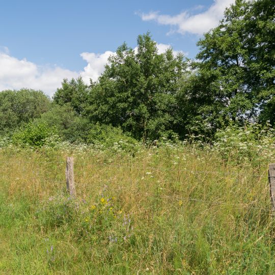 NSG Lippeniederung bei Sande <LP>