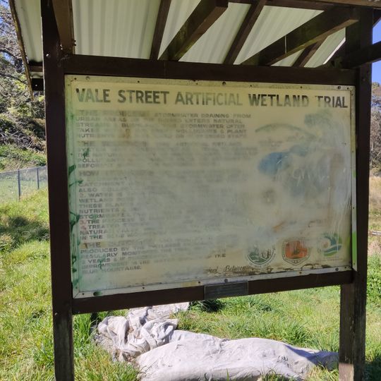 Vale Street Artificial Wetland Trial