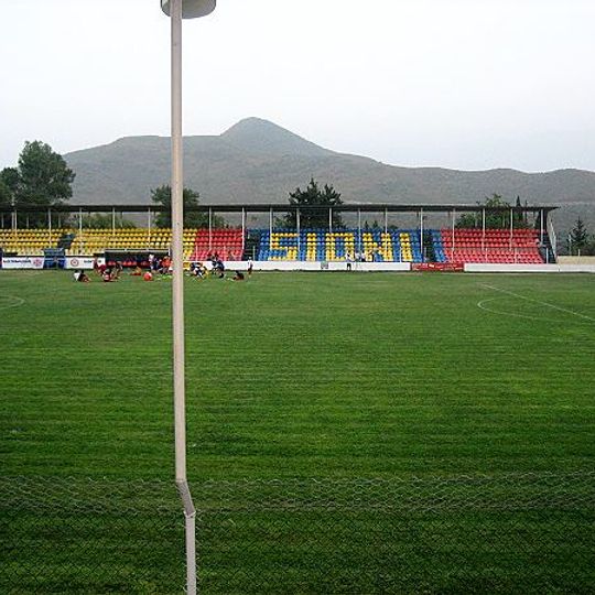 Temur-Stepania-Stadion