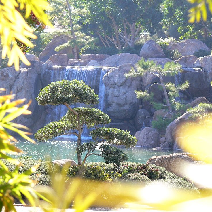Japanese Friendship Garden
