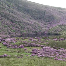 Bay Lough