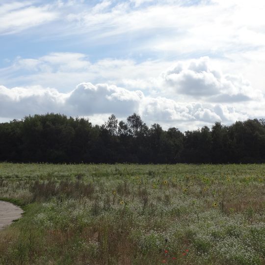 Mannhagener Moor