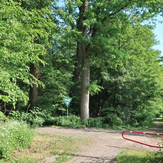 Feuchtgebiet Weidekamp