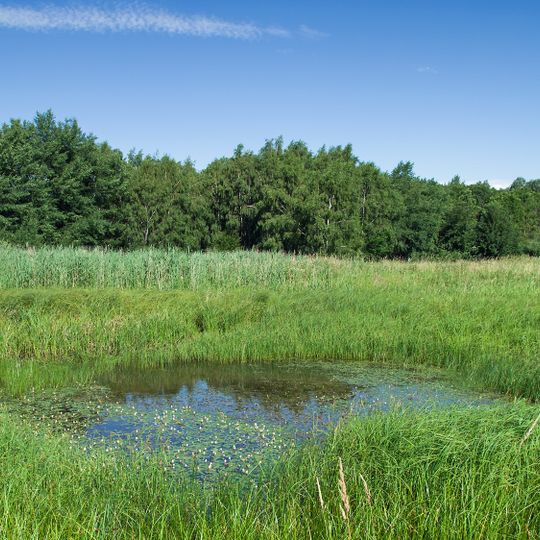 Landgraben- und Dummeniederung