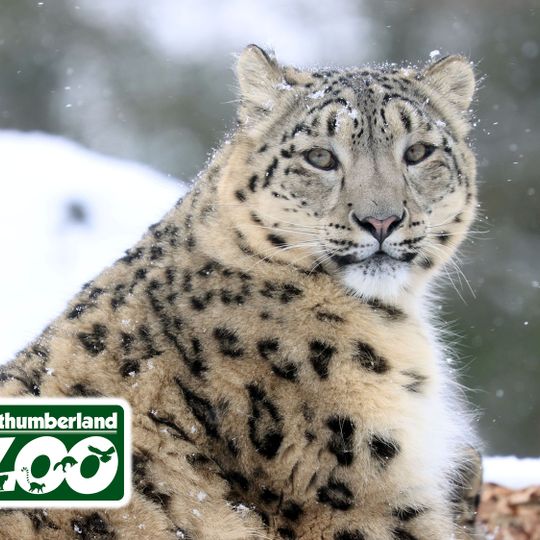 Northumberland Zoo