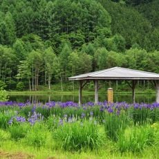 Ayame Park Pond