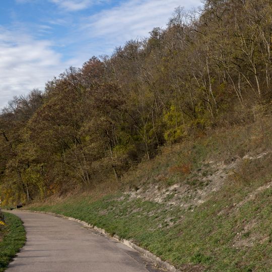 Halbtrockenrasen am Schwanberg