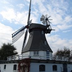 Windmühle Vergißmeinnicht