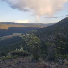 Mount Savona Provincial Park