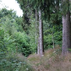 Listarumsåsens naturreservat
