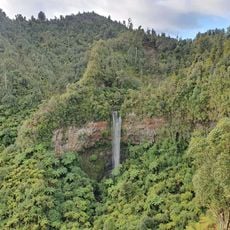 Tupapakurua Falls
