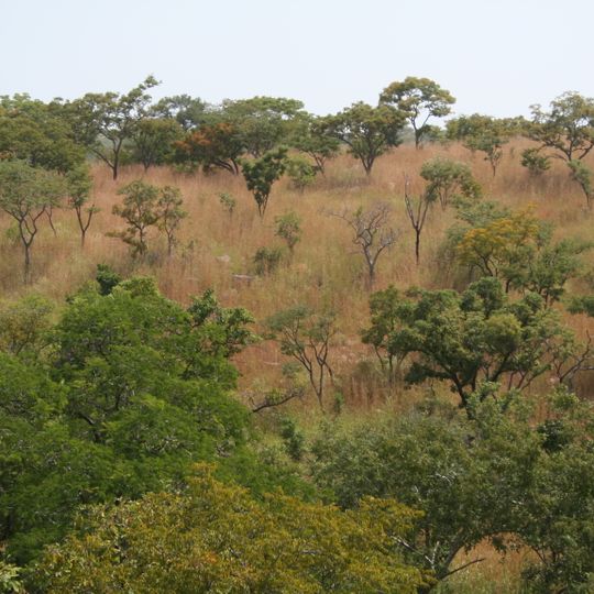 Réserve partielle de faune de Kourtiagou