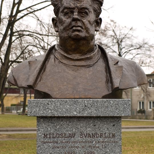 Bust of Miroslav Švandrlík