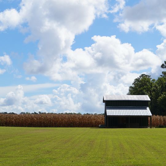 Foscue and Simmons Plantations