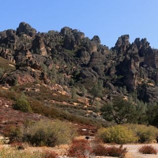 Pinnacles National Forest