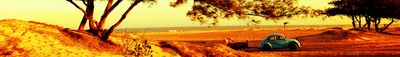 Panoramic View 0