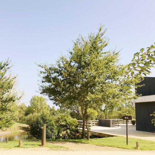 Borboletário Tropical de Constância