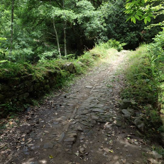 Camino Zarra - Elexalde