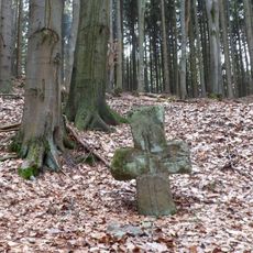 Smírčí kříž u Svojanova v lese (2)