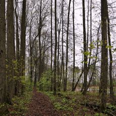 Парк с прудами (Жерехово)