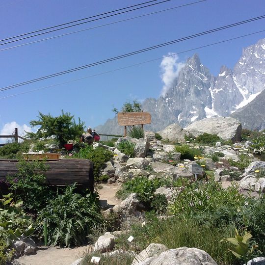 Giardino alpino Saussurea