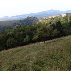 Biała Góra (Pasmo Radziejowej)