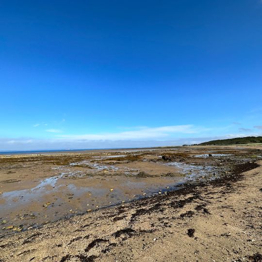 Longniddry Bents