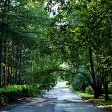 Park of Moscow State University