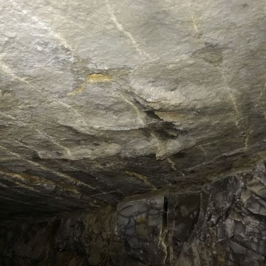 Dinosaurierspuren vom Monte Buso