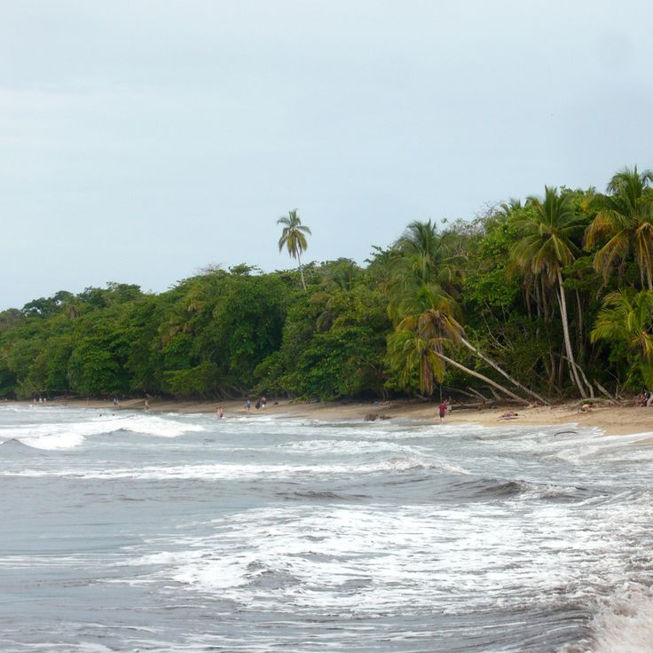 Park Narodowy Cahuita