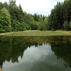 Královomlýnský rybník