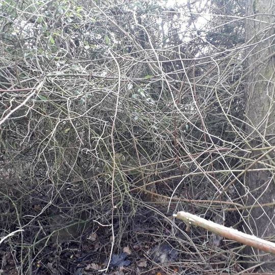 Kříž nad Bdeněvsí u cesty do Kníjí