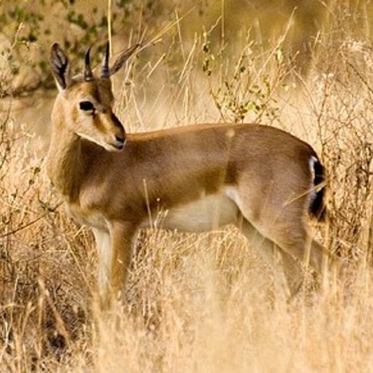 Narayan Sarovar Sanctuary
