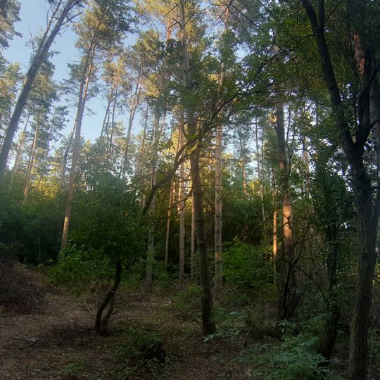 Перекопівський заказник