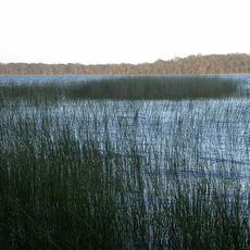 Yuraygir National Park