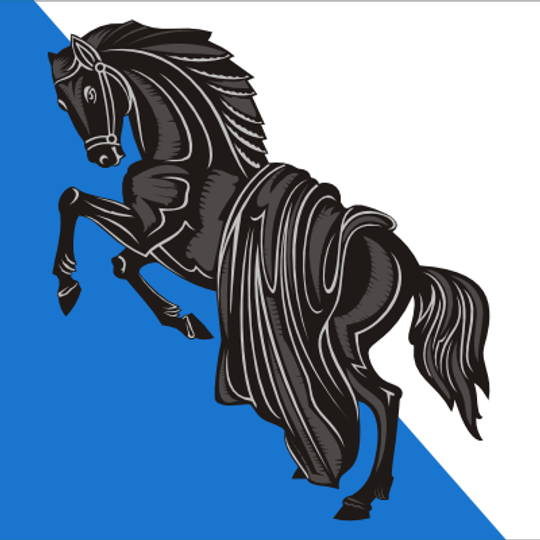 Каслінське міське поселення