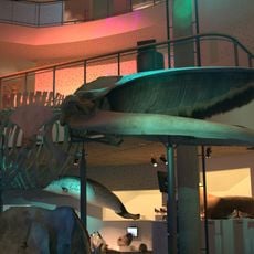 Naturama