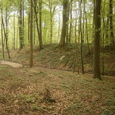 Burgwall Wildberg (Kastorfer See)