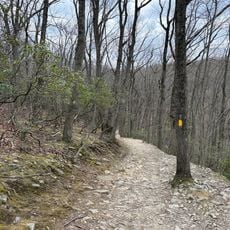 Horse-Shoe Trail