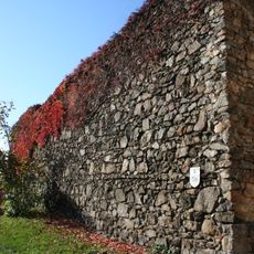 Stadtmauer Steyregg