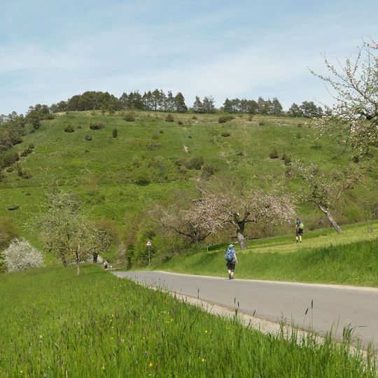 Naturschutzgebiet 'Trockenhänge bei Böttigheim'
