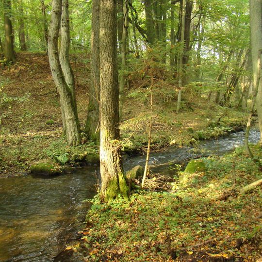 Nature reserve Krzemieńskie Źródliska