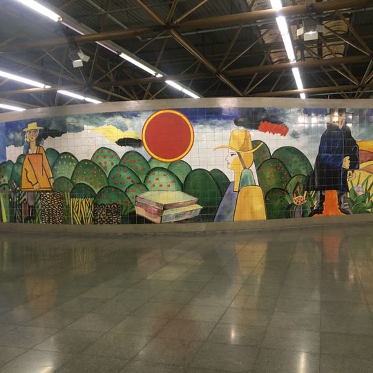 Inter-Relação Entre o Campo e a Cidade