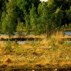 Teufelsmoor bei Horst