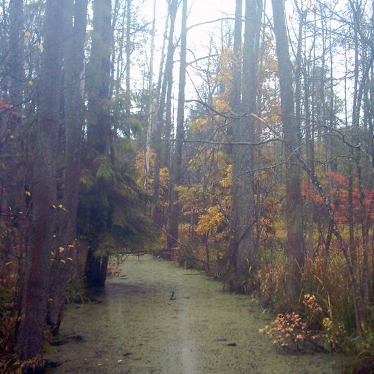 Nature reserve Głęboki Kąt
