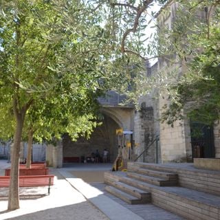 Jardin des Carmes d'Avignon